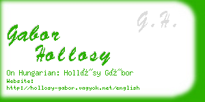 gabor hollosy business card